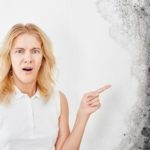 Proper Mold Cleanup